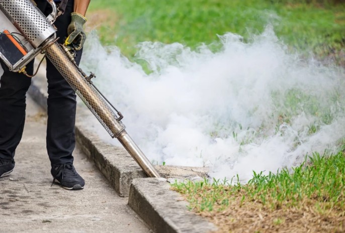 When Is the Best Time for Mosquito Fogging Services? When Is the Best Time for Mosquito Fogging Services?