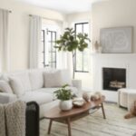 Top Color Trends for Modern Residential Painting Projects