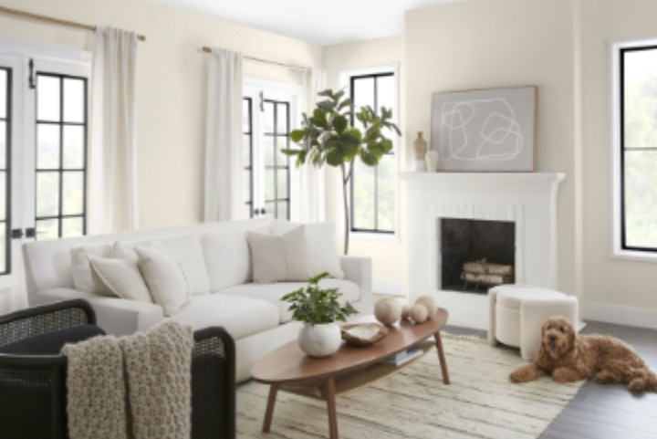 Top Color Trends for Modern Residential Painting Projects